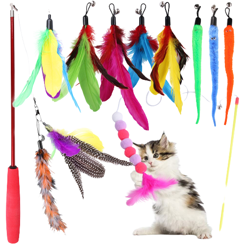 Kattenspeelgoed - Kattenspeeltjes - 21 stuks