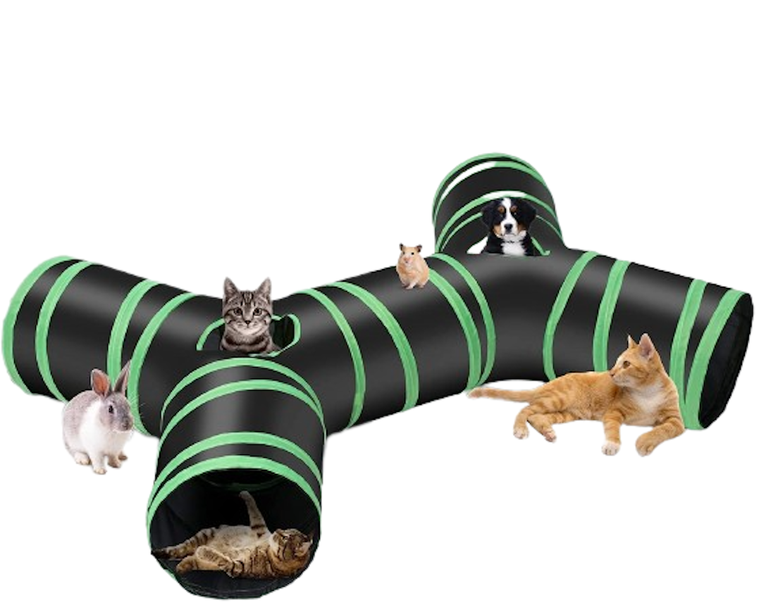 Cat Tunnel - Play Tunnel - Bot