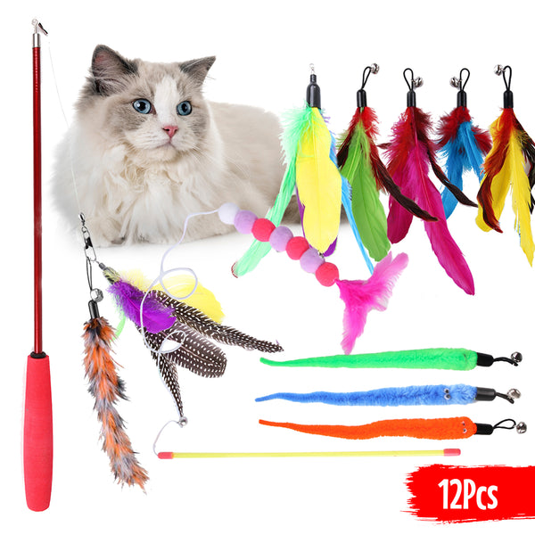 Cat Toys | 12 pieces