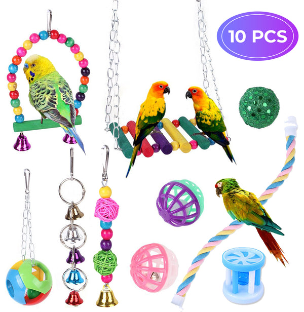 Bird Toys | 10 pieces