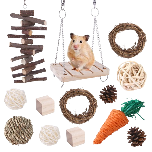 Rodent Toy Package - 13 pieces 